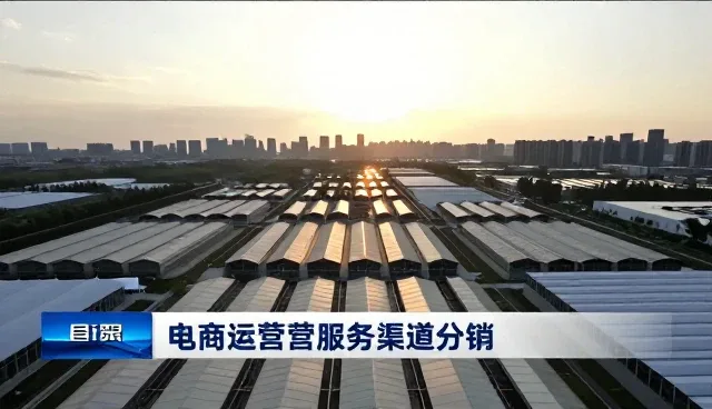 渠道分销中库存管理的常见问题及应对策略
